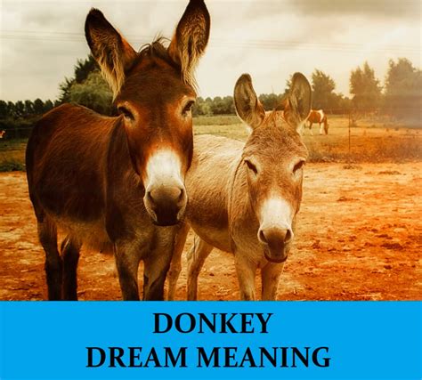 The Significance of a Donkey in Dreams