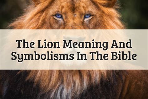 The Significance of a Lion's Triumph Over a Helpless Prey