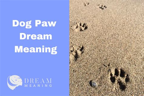 The Significance of a Paw's Loss in Dream Interpretation: An In-Depth Exploration