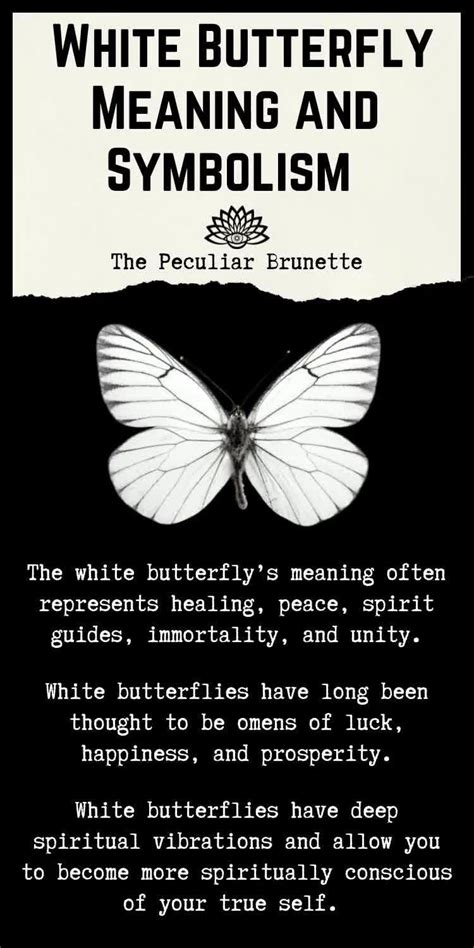 The Significance of a White Butterfly