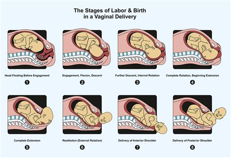 The Significance of the Birthing Process