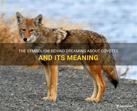 The Significance of the Coyote as a Symbol in Dreams