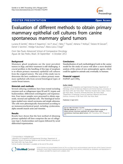 The Significance of the Golden Canine in Various Cultures: A Comparative Evaluation