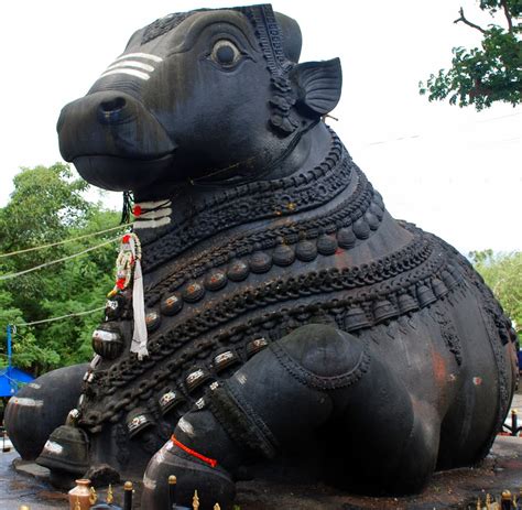 The Significance of the Sacred Bull in Ancient Hindu Mythology