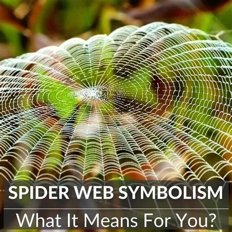 The Spider's Web: Symbolic of Entrapment and Powerlessness
