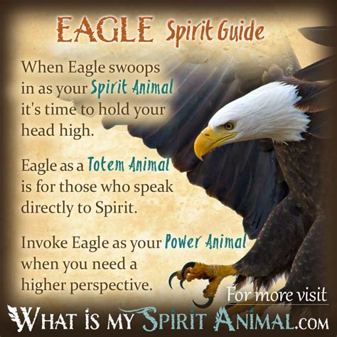 The Spiritual Connection: Exploring the Role of Eagles in Different Cultures