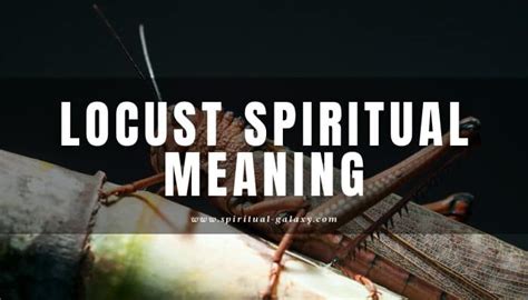 The Spiritual Essence: Locust Dreams and the Afterlife