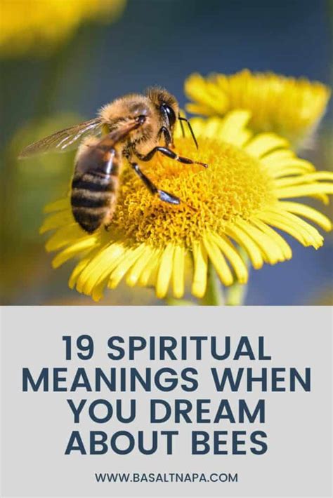 The Spiritual Significance of Bees in Dream Interpretation