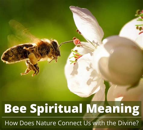 The Spiritual Significance of Bees in the Realm of Dreams