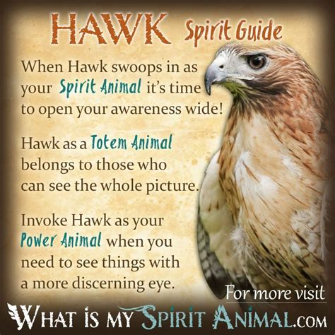 The Spiritual Significance of Hawks in Different Cultures