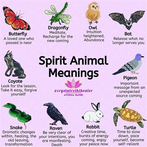 The Spiritual and Mystical Meanings of Animal Symbols in Dream Interpretation