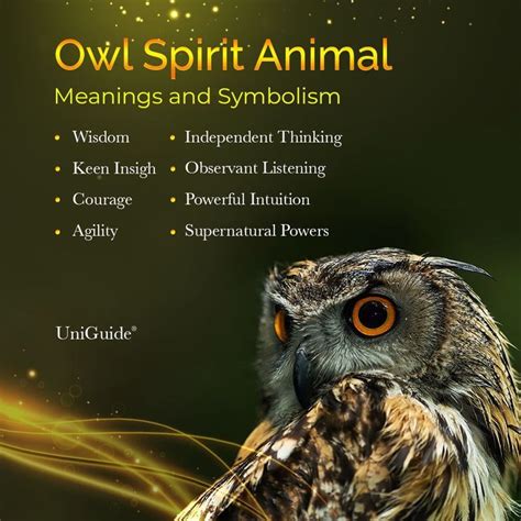 The Spiritual and Mystical Significance of Owls