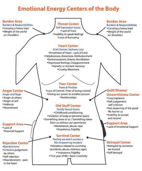 The Stomach: A Center of Emotions and Vulnerability