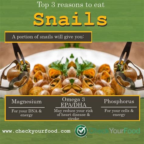 The Surprising Health Benefits of Crunchy Escargot: Unveiling the Nutritional Value of Fried Snail