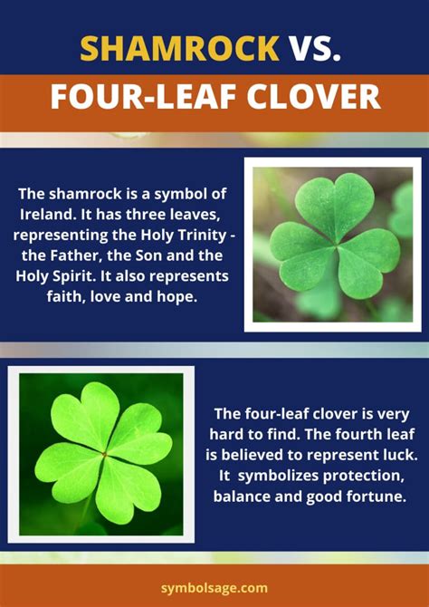 The Symbolic Meaning Behind Four Leaf Clovers