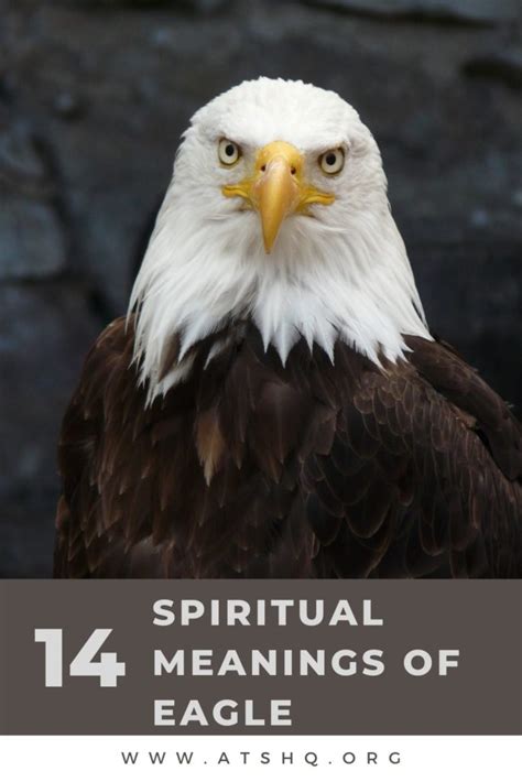 The Symbolic Meaning and Mythology Surrounding Eagles