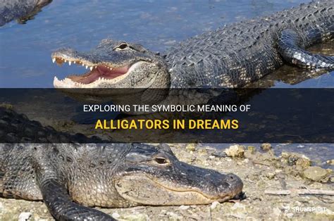The Symbolic Meaning of Alligators in Dreams