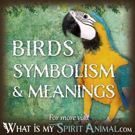 The Symbolic Meaning of Avian Creatures in Dreamscapes
