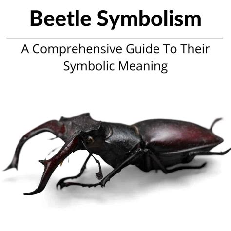 The Symbolic Meaning of Beetles