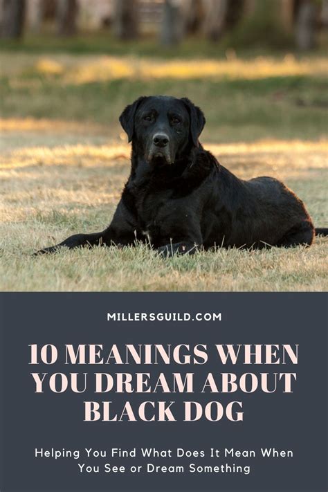 The Symbolic Meaning of Dreaming about a Dark Canine