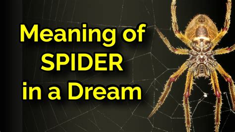The Symbolic Meaning of Dreams Featuring a Giant Yellow Spider
