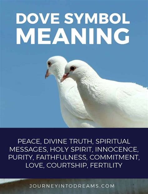 The Symbolic Meaning of the White Dove: A Messenger of Peace