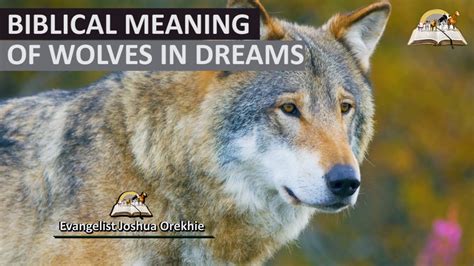 The Symbolic Meaning of the Wolf in the Dream World