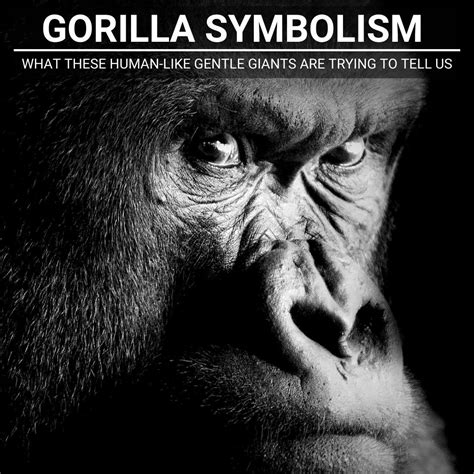 The Symbolic Potency of Gorillas in Dream Analysis