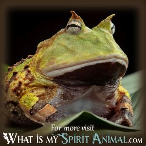 The Symbolic Significance of Amphibians in the Realm of Dream States