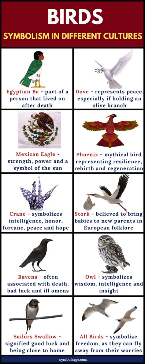 The Symbolic Significance of Birds in Cultures and Beliefs
