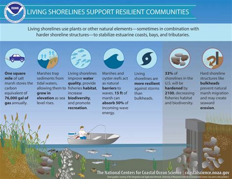 The Symbolic Significance of Contaminated Shoreline Environments in Reveries