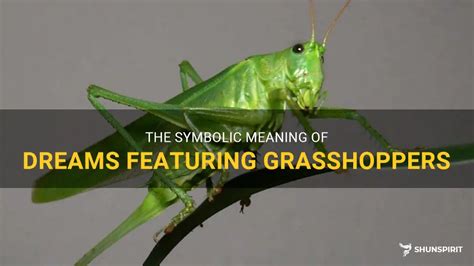 The Symbolic Significance of Dreaming of a Grasshopper in Your Oral Cavity