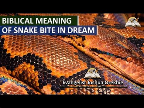 The Symbolic Significance of Dreams Featuring a Minuscule Serpent Bite