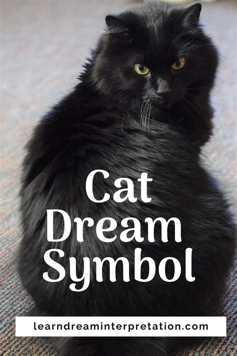 The Symbolic Significance of Felines in Dreams