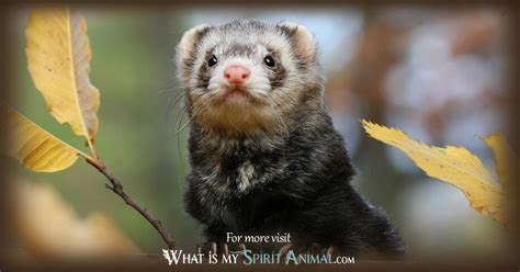 The Symbolic Significance of Ferrets in Dream Analysis