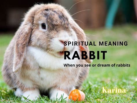The Symbolic Significance of Having a Rabbit Bite in Your Dream