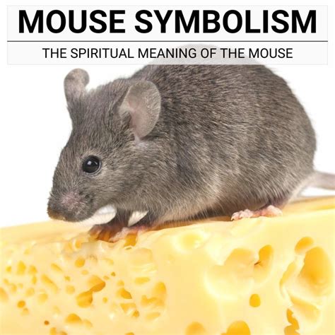 The Symbolic Significance of Mice as Visionary Creatures