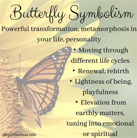 The Symbolic Significance of Pursuit by Butterflies