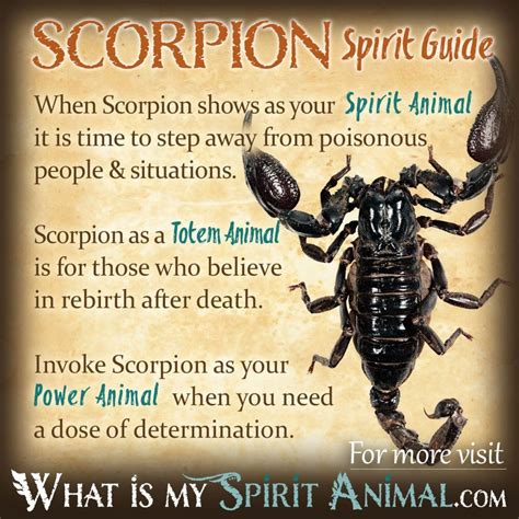 The Symbolic Significance of Scorpions in Dreams