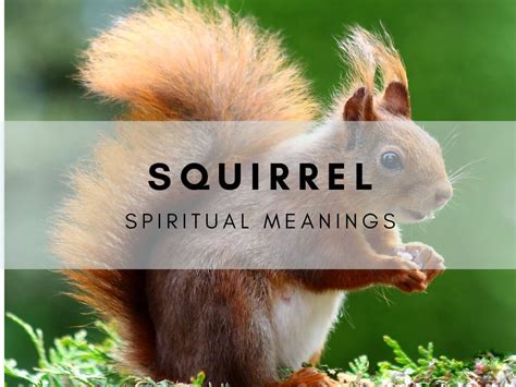 The Symbolic Significance of a Dwindling Tree Squirrel within the Realm of Dreams
