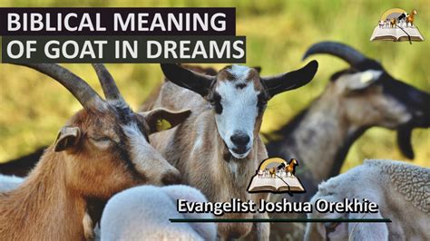 The Symbolic Significance of an Enraged Goat in the Realm of Dreams