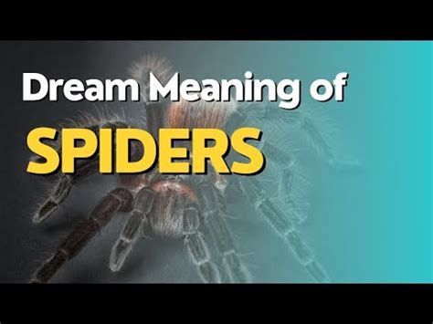 The Symbolism Behind Infant Arachnids in Reveries