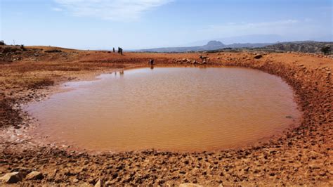 The Symbolism Behind Muddy Pond Water in Your Vision