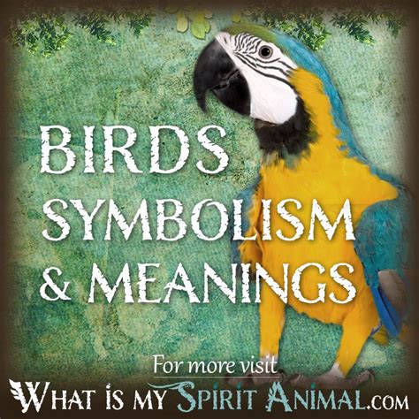 The Symbolism and Meaning of Birds in Dream: A Deeper Insight into Avian Imagery