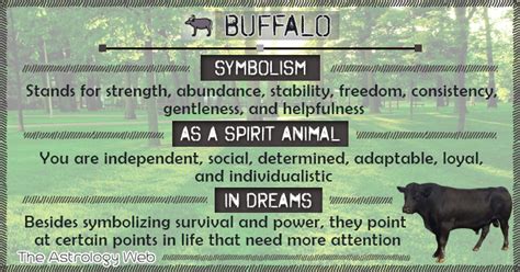 The Symbolism of Buffalos in Dream Interpretation