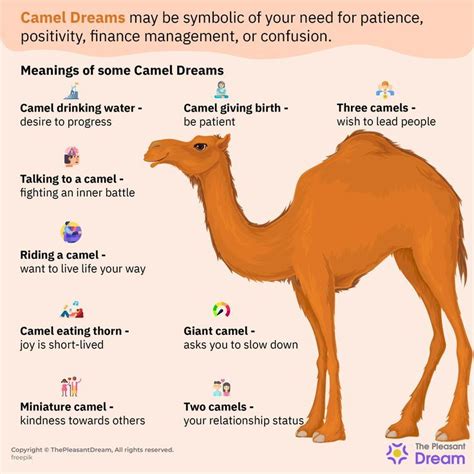 The Symbolism of Camels in Dreams: Interpreting Their Significance