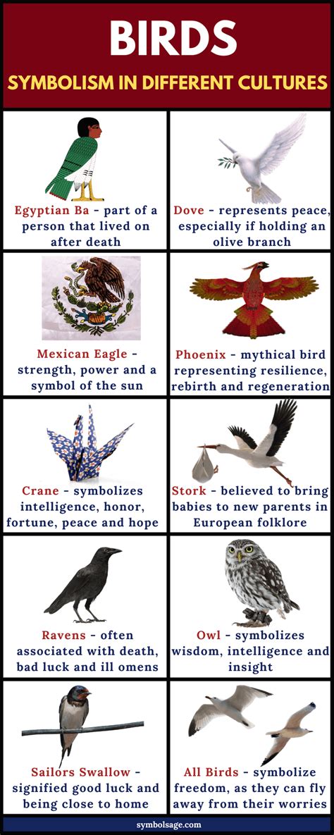 The Symbolism of Dark Birds in Various Cultures