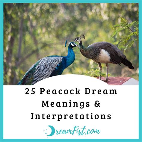 The Symbolism of Peacock in Dreams