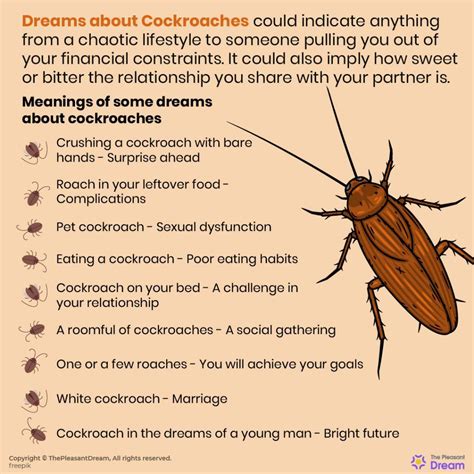 The Symbolism of Roaches in Dreams