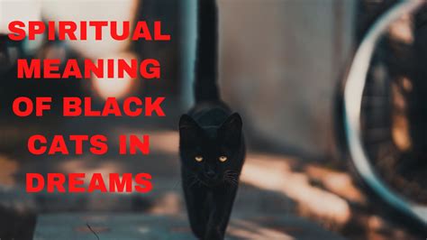 The Symbolism of an Ebony Feline in Dreamscapes